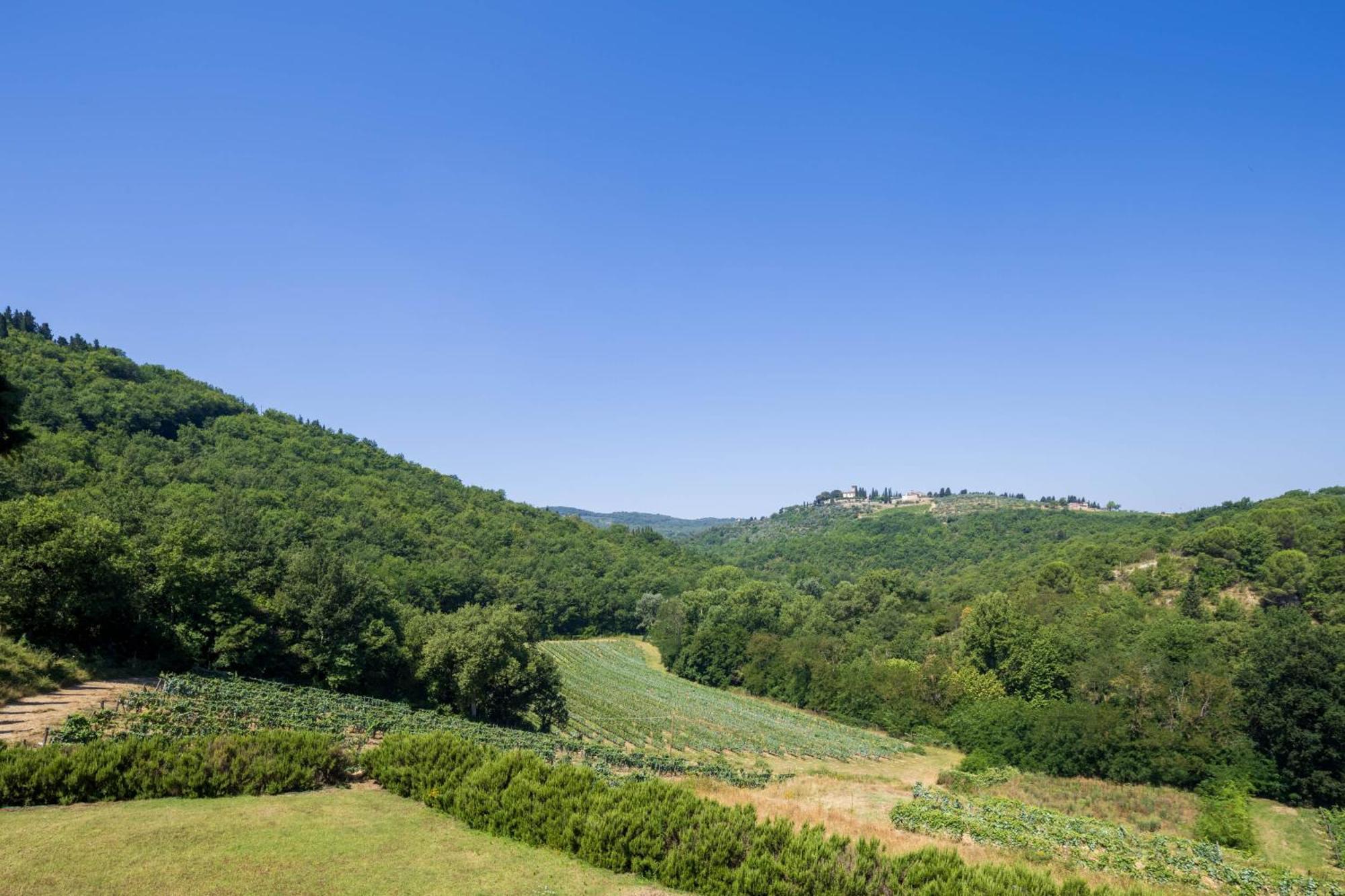 Foresteria Castello Di Verrazzano Greve in Chianti Luaran gambar